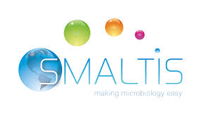 Smaltis